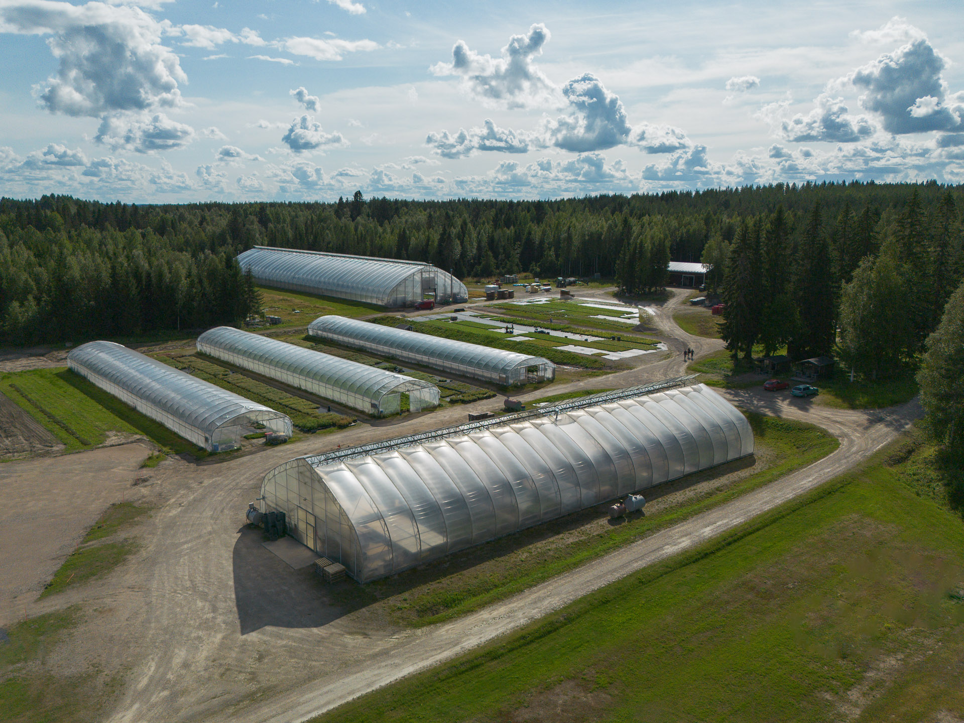 Ilmakuva taimitarhasta